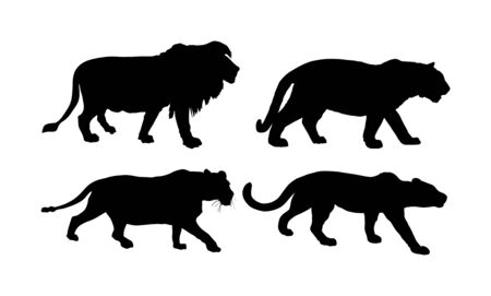 Big wild cat collection. Lion and lioness silhouette. Tiger vector silhouette illustration isolated on white background. Panther hunting. Leopard symbol. Wildlife predator. Cougar. Mountain lion.のイラスト素材
