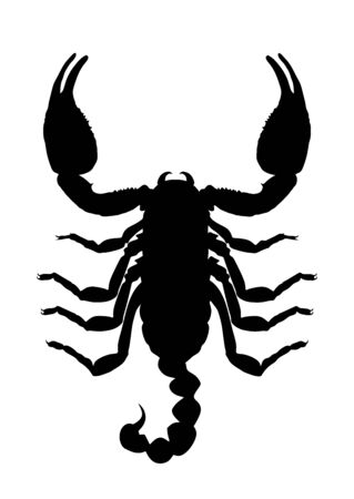 Scorpion vector silhouette illustration isolated on white background. Deadly venom animal symbol. Poison animal.のイラスト素材