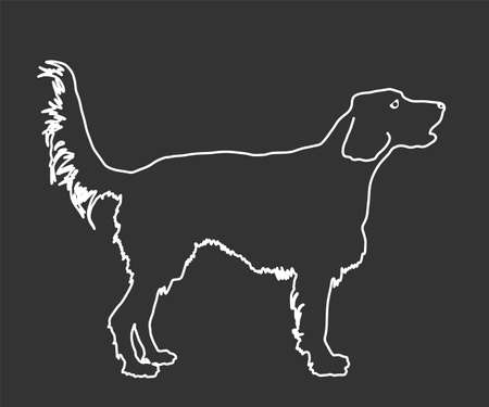 Portrait of Golden Retriever vector line contour illustration isolated on black. Beware of dog. Friendly family dog. Labrador retriever graphic.のイラスト素材