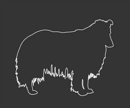 Portrait of Rough Collie vector line contour illustration isolated on black background. Scottish Shepherd dog. Beware of dog.のイラスト素材