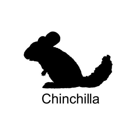 Chinchilla vector silhouette illustration isolated on white background. Cute little pet, rodent animal.のイラスト素材