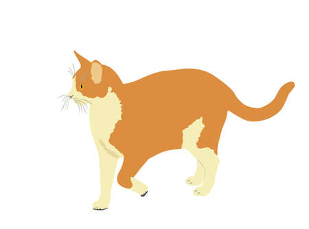 Brown domestic cat walking vector illustration isolated on white background. Lovely kitty pet.のイラスト素材
