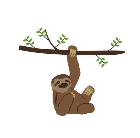 Sloth hanging on three branch vector illustration isolated on white background. Funny lazy animal zoo attraction.のイラスト素材