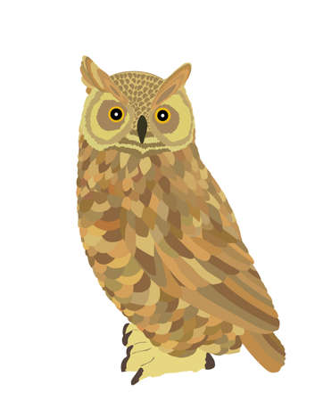 Owl vector illustration isolated on white background. Night bird hunter.のイラスト素材