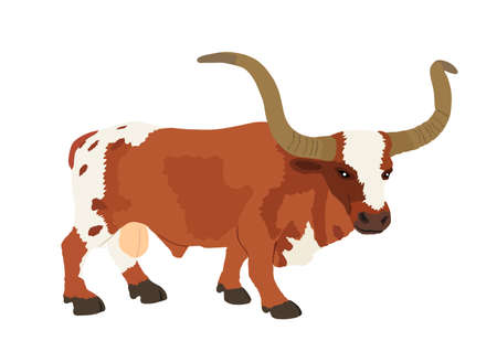 Bull long horn cattle vector illustration isolated on white background. Longhorn Texas bull symbol.のイラスト素材
