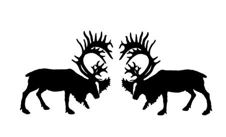 Deer battle vector silhouette illustration isolated on white. Reindeer powerful buck with huge antlers. Rein deer fighting for female. Struggle in forest. Zoo animal nature. Christmas holiday symbol.のイラスト素材