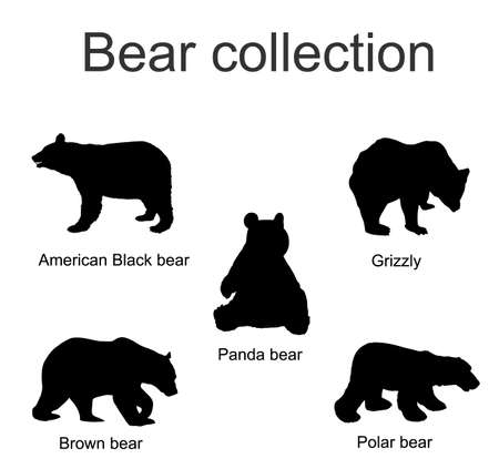 Bear species collection vector silhouette illustration isolated on white background. Black bear, Grizzly, Polar bear, Panda, Brown bear symbol.のイラスト素材