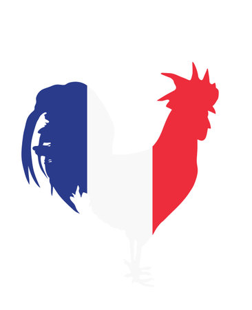 French flag over rooster vector silhouette isolated on white background. Republic of France national symbol flag over chicken male.のイラスト素材