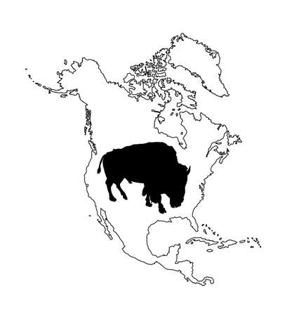 Bison vector silhouette illustration isolated on Northern America map silhouette contour on white background. Portrait of Buffalo male, symbol of America. Strong animal, Indian culture.のイラスト素材