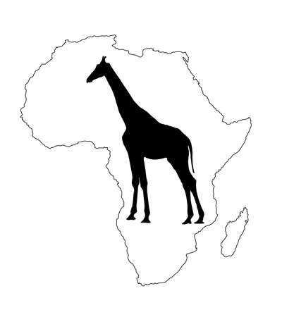 Continent map of Africa vector contour silhouette  with giraffe. Travel invitation card for Africa nature. Savannah safari trip attraction with tall animal giraffe silhouette. Tourist traveler trip.のイラスト素材