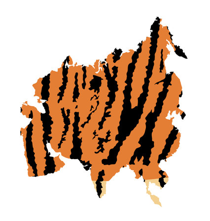 Tiger skin pattern vector illustration over Asia map silhouette isolated on white background. Fashion animal print. Asian continent animal texture. Tiger fur background.のイラスト素材