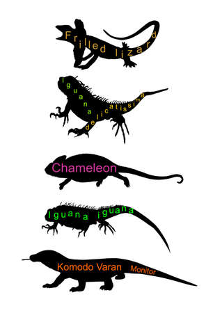 Lizards reptile set symbols. Frilled lizard symbol. Pet iguana silhouette. Chameleon shape shadow. Komodo dragon vector silhouette illustration isolated on white background. Varanus Komodo monitor.のイラスト素材