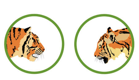 Tiger head vector illustration isolated on white background. Big wild cat. Siberian tiger. Amur...