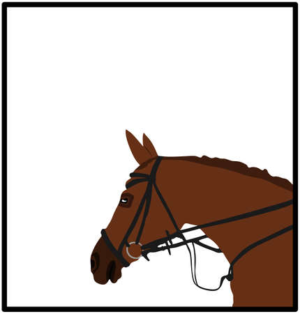 Elegant racing horse head portrait vector illustration isolated on white background. Hippodrome sport event. Equestrian riding horse for jumping over barrier show. Beautiful farm animal head.のイラスト素材