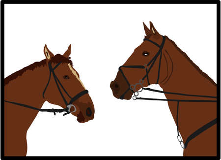 Elegant racing horse head portrait vector illustration isolated on white. Hippodrome sport event. Equestrian riding horse couple in love in stable shape. Beautiful farm animal head symbol.のイラスト素材