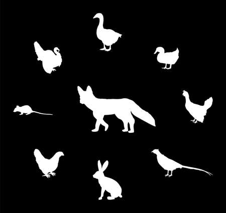 Cunning hungry fox lurks prey vector silhouette illustration isolated. Smart animal predator. Fox hunting hen chicken goose, turkey. Farm chantry poultry in danger. Rabbit, rats, pheasant, wood goose.のイラスト素材