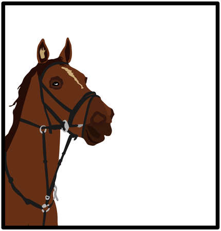 Elegant racing horse head portrait vector illustration isolated on white background. Hippodrome sport event. Equestrian riding horse for jumping over barrier show. Beautiful farm animal head.のイラスト素材