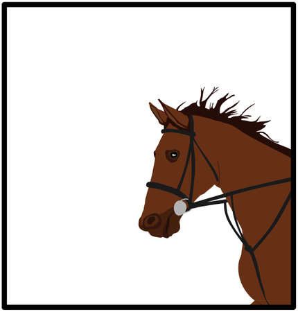 Elegant racing horse head portrait vector illustration isolated on white background. Hippodrome sport event. Equestrian riding horse for jumping over barrier show. Beautiful farm animal head.のイラスト素材