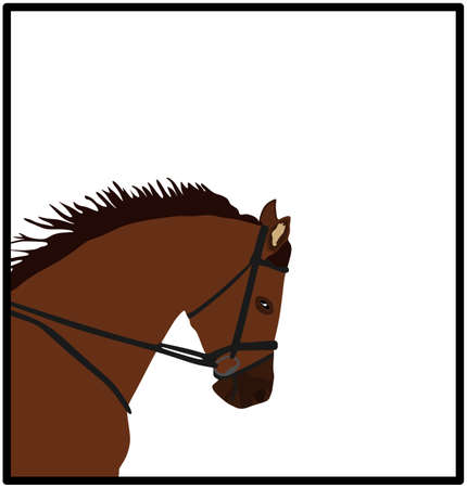 Elegant racing horse head portrait vector illustration isolated on white background. Hippodrome sport event. Equestrian riding horse for jumping over barrier show. Beautiful farm animal head.のイラスト素材