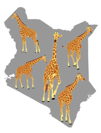 Herd of giraffe over Kenya map vector silhouette illustration isolated on white background. Safari tourist invite to explore wildlife of Kenya. Tall Animal giraffe, symbol of Africa.のイラスト素材