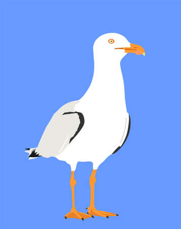 Seagull standing vector silhouette illustration isolated on blue background. Sea and ocean bird. Marine bird shape symbol. Fish hunter. Gull tourist travel souvenir mascot.のイラスト素材