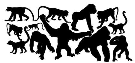 Monkey collection vector silhouette illustration isolated on white background. Chimpanzee. Gorilla. Proboscis monkey nasalis larvatus, nose monkey. Langur. Red shanked Douc. Lemur. Orangutan symbol.のイラスト素材
