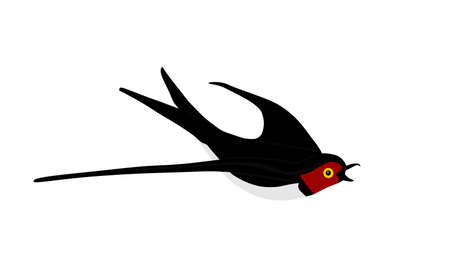 Flaying swallow vector silhouette illustration isolated on white background. Migratory bird, symbol of spring.のイラスト素材