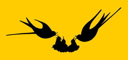 Flaying swallows family couple feed young birds in nest vector silhouette illustration isolated on background. Migratory bird, symbol of spring. Parents feeding cubs.のイラスト素材