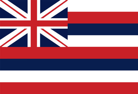 Hawaii flag vector illustration isolated. United states of America state. Hawaiian national symbol.のイラスト素材