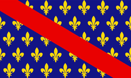 France historical province Bourbonnais flag vector illustration isolated.のイラスト素材