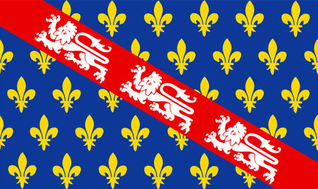 France historical province Marche flag vector illustration isolated.のイラスト素材