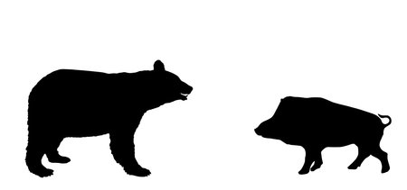 American black bear against wild boar vector silhouette illustration isolated on white background. Wildlife fight bear vs warthog. Forest hungry beast needs food shape shadow.のイラスト素材