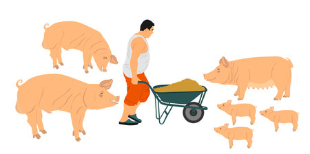 Wheelbarrow worker farmer feeds pigs family vector illustration isolated. Loader laborer carrying food for hungry boar, sow, piglets. Domestic animals feeding cart. Villager man.のイラスト素材