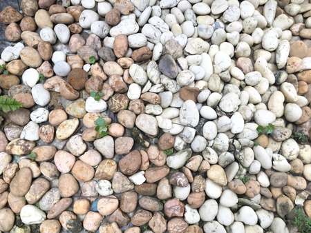 Stone backgroundの写真素材