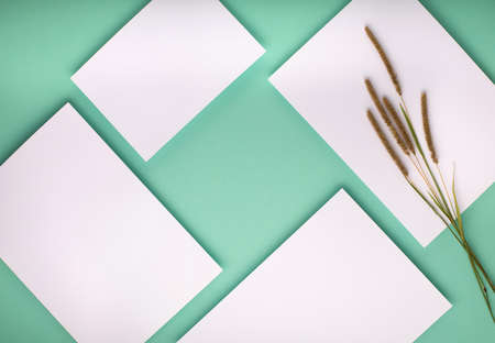 Minimal background for branding and product presentation. Autumn composition. Flat lay style...