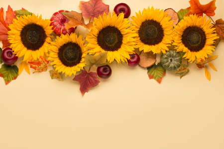 Autumn holiday composition. Sunflowers, dried leaves, pumpkins, apples and rowan berries on yellow background. Autumn, fall, thanksgiving day concept. Flat lay, top view, copy spaceの写真素材