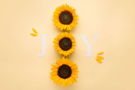 Word Joy. Autumn greeting card invitation. Beautiful fresh sunflowers with leaves on yellow background. Letter for posters, web banners. Fall, thanksgiving day concept. Flat lay, top view, copy space.の写真素材