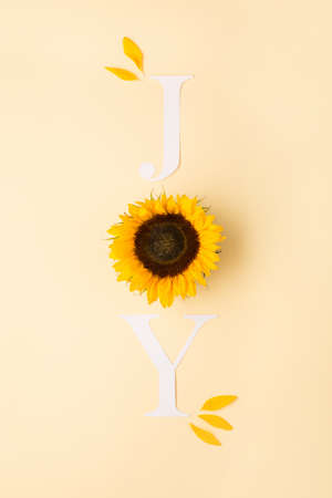 Word Joy. Autumn greeting card invitation. Beautiful fresh sunflowers with leaves on yellow background. Letter for posters, web banners. Fall, thanksgiving day concept. Flat lay, top view, copy space.の写真素材