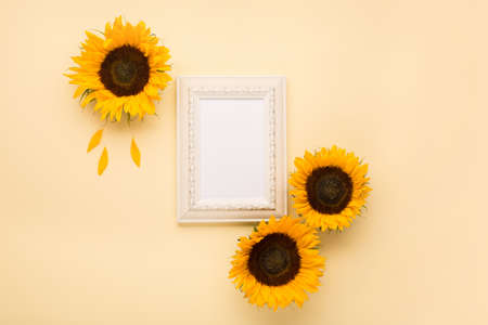 Beautiful fresh sunflowers with leaves and White wooden empty frame on yellow background. Flat lay,...