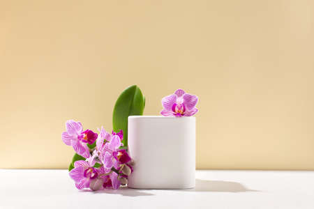White empty box on light backdrop and pink flower phalaenopsis orchid with shadow. Shop-window for cosmetic products. Display sample. Place Mockup style. Cosmetology and beauty conceptの写真素材