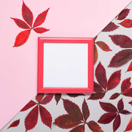 Autumn creative composition. Red leaves, empty pink frame, wild grape berries on gray paper...