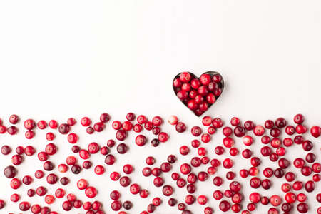 Raw organic fresh Cranberry berries, cowberry or lingonberry on white wooden background. Winter cranberry concept. Healthy lifestyle.の写真素材