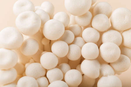 Fresh shimeji (white beech) mushrooms on pastel beige paper background. Superfood Trend fresh...
