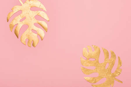 Festive holiday greeting card template. Golden tropical leaves Monstera on empty paper pink...