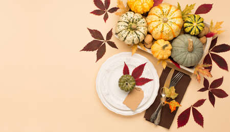 Autumn fall holiday Thanksgiving table place setting. Pumpkins, porcelain white plate, dry maple...