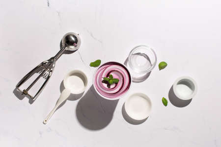 Homemade yogurt vanilla blueberry ice cream and fresh mint on natural stone marble background....