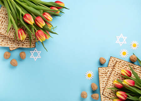 Jewish holiday Passover greeting card concept with matzah, nuts and tulip flowers on blue table....