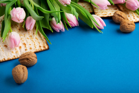 Jewish holiday Passover greeting card concept with matzah, nuts, tulip flowers on blue table. Seder Pesach spring holiday background, top view, copy space.の写真素材