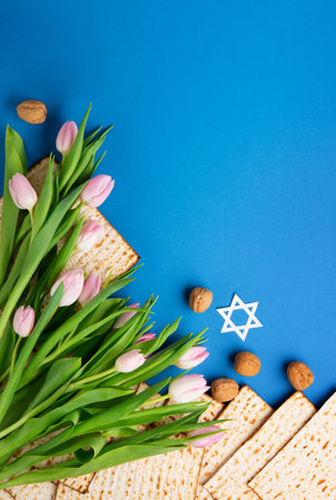 Jewish holiday Passover greeting card concept with matzah, nuts, tulip flowers on blue table. Seder Pesach spring holiday background, top view, copy space.の写真素材