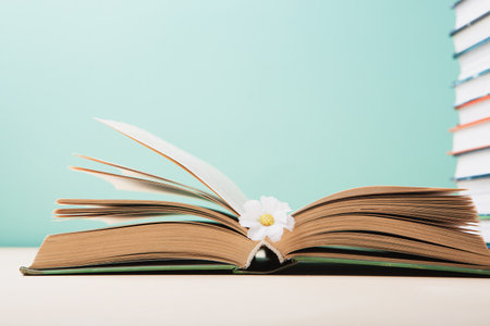 World book and Copyright day, Education concept. Open Book and Daisy Flower on blue mint background. Festive card for books holiday, copy space.の写真素材